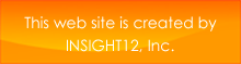 logo_insight12